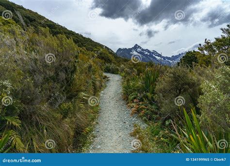 Hiking The Path Key Summit Track Southern Alps New Zealand 1 Stock