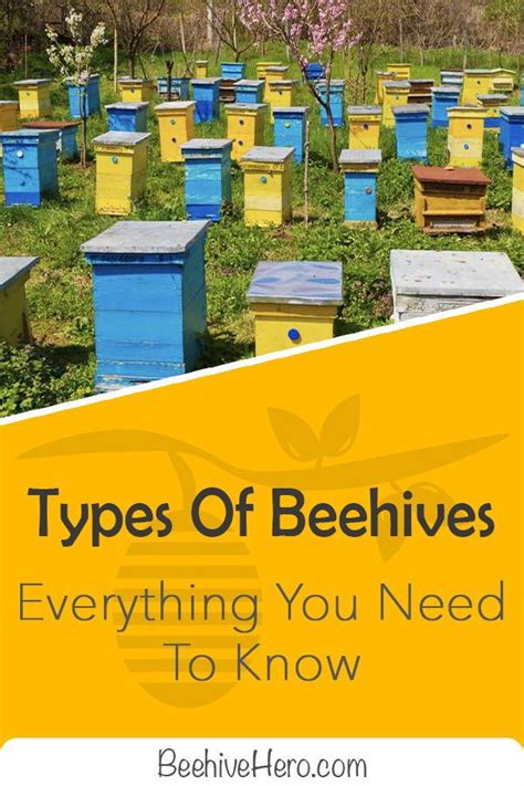 Several Beehives With The Words Types Of Beehives Everything You Need