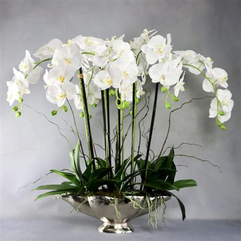 Artificial Flowers And Luxury Faux Orchids Specialist Demmerys Uk Artificial Orchids Floral