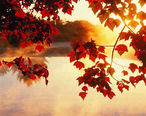 Download Autumn Wallpaper By Jwilliams74 Fall Wallpapers 1280 X