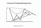 Harmonic Trading Software Images
