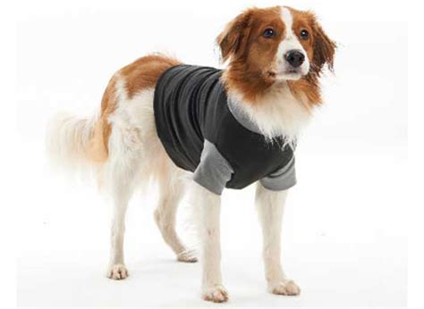 Buster Body Suit Easygo For Dogs Post Operative Care