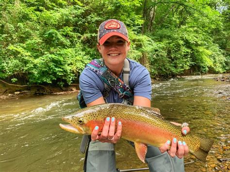 North Georgia Fishing North Georgia Fly Fishing Blue Ridge