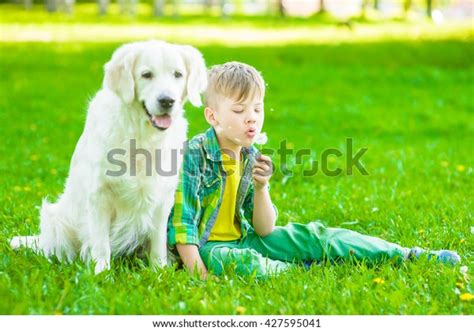 Young Boy Golden Retriever Dog Sitting Stock Photo 427595041 Shutterstock