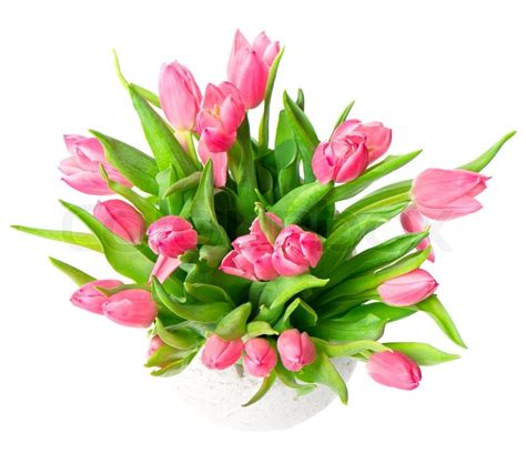Bouquet Of Beautiful Spring Tulip Flowers Stock Photo