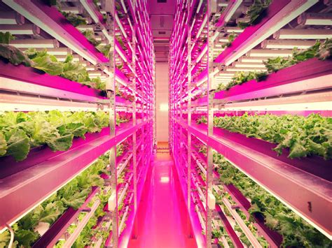 Localvore Revolution Vertical Urban Farms Promise To Deliver Greener