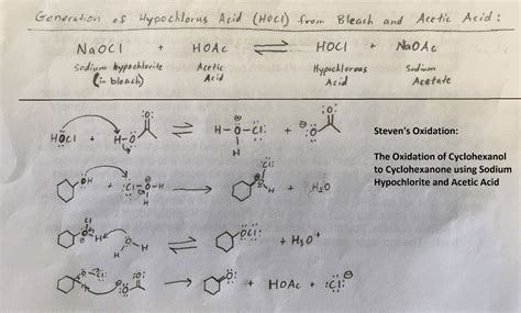 OneClass I Need Some Help With My Orgo 2 Lab Questions Please Thank