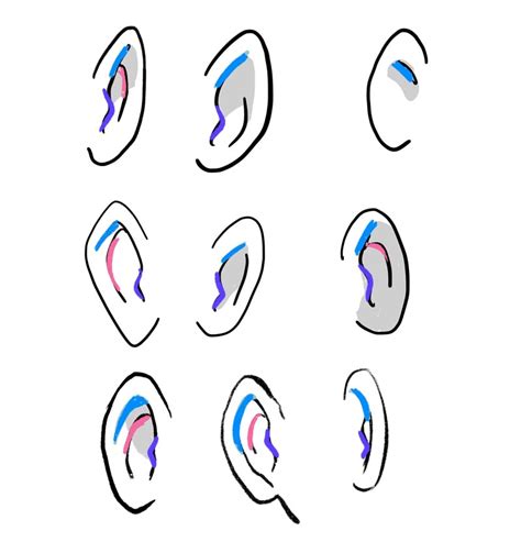 How To Draw Anime Ears A Simple Three Step Guide Gvaats Workshop