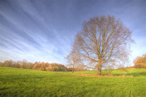 Wallpaper Sunlight Trees Landscape Forest Fall Sunset Hill