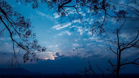 Blue Scenery Stock Photo Image Of Scene Nature Heavenly 5758068