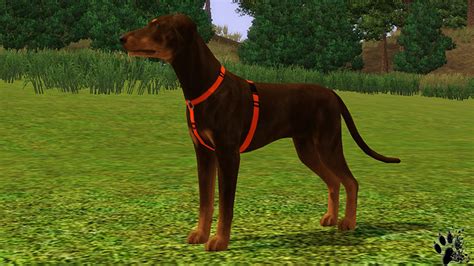 Sims 4 Dog Harness