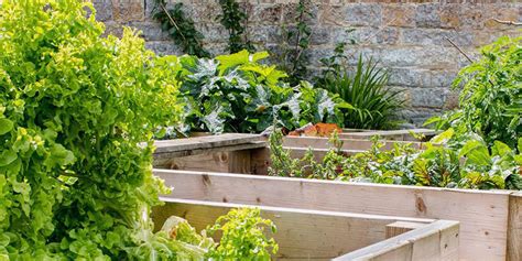 I'm a wanna be gardener and just the cost of buying plants can be risky for me. Make a cheap DIY raised bed for growing your own | Greenredeem Blog