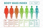 Medical infographics with illustrations of female body mass index ...