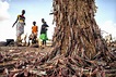 東非蝗災再起 規模暴增20倍 70年來最大 - 兩岸 - 中時電子報