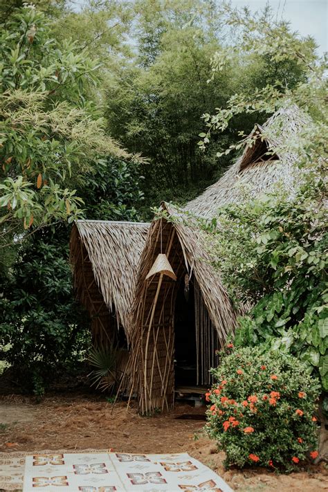 Brown Wooden House Surrounded By Green Plants · Free Stock Photo