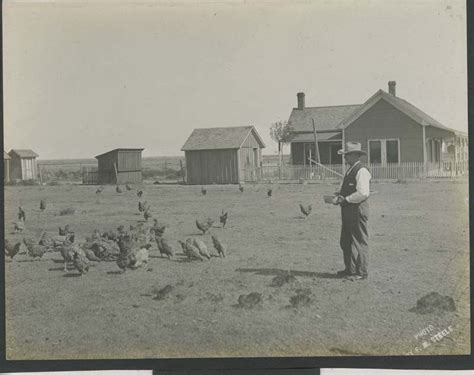 A Man Feeding Chickens Kansas Memory Kansas Historical Society