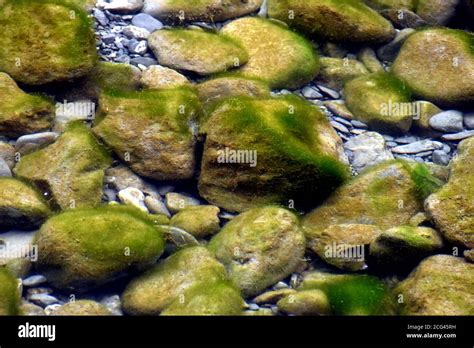Underwater Rocks Water Hi Res Stock Photography And Images Alamy