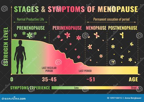 Stages Of Menopause Infographic Stock Vector Illustration Of Gynecology Cycle