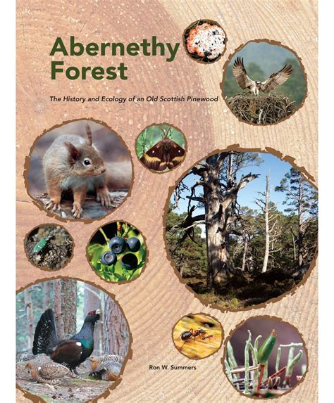 Abernethy Forest The History And Ecology Of An Old Scottish Pinewood