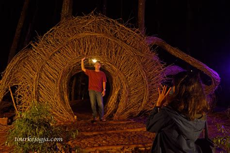 Wisata Malam Hari Jogja Top Selfie Spot Hutan Pinus 