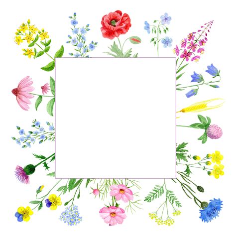 Watercolor Wildflower Frames Floral Frames Floral Wreaths Etsy