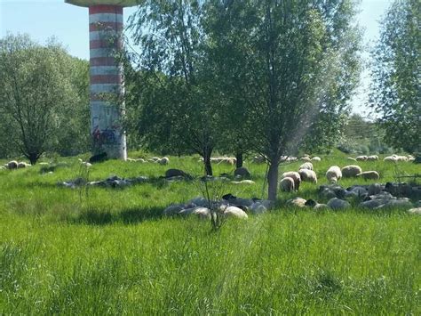 Lokaler namehaus lohe lagewerl, deutschland. Haus Lohe - Gut Haus Lohe Runde von Werl | Fahrradtour ...