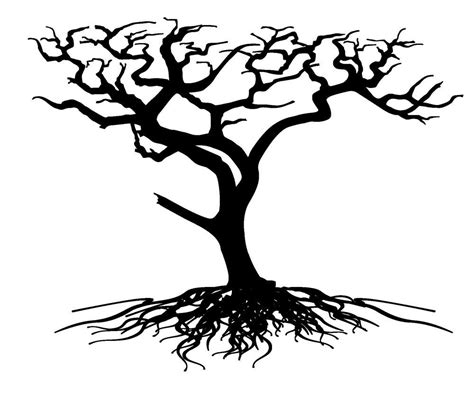 Oak Tree Silhouette With Roots
