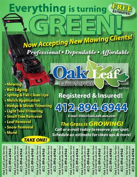 lawn care flyers my first advertisement craigslist and beyond lawn care business lawn