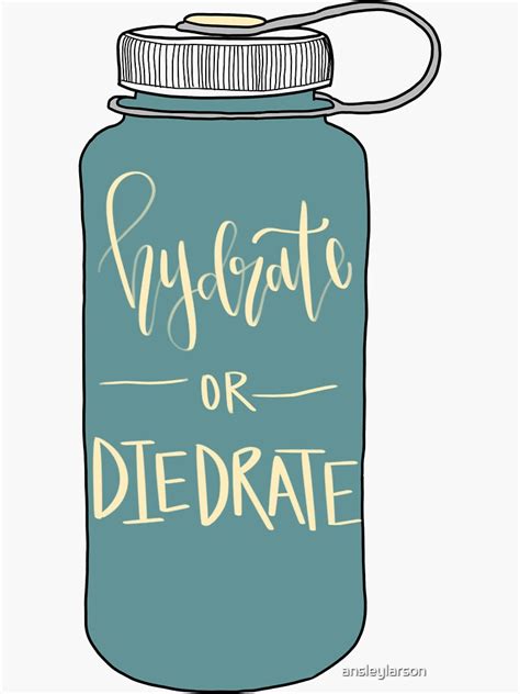 Hydrate Or Diedrate Water Bottle Sticker By Ansleylarson Redbubble