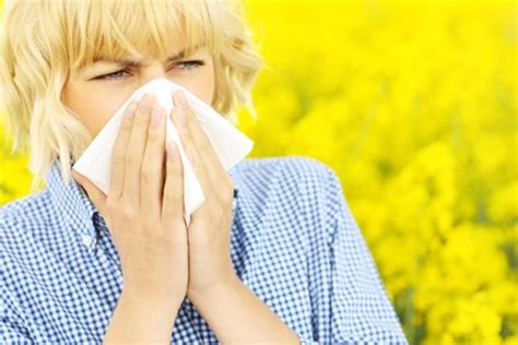 Do You Suffer With A Summer Allergy