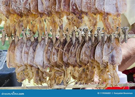 Hanging Drying Squid Food Stock Image Image Of Hanging