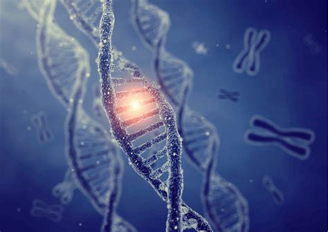 Genome Editing A New Experimental Clinical Test In Gene Therapy