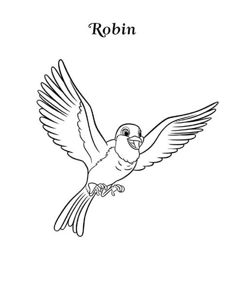 Happy Robin Bird Coloring Page: Happy Robin Bird Coloring Page – Color