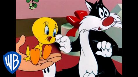 Looney Tunes Tweety Bird And Sylvester