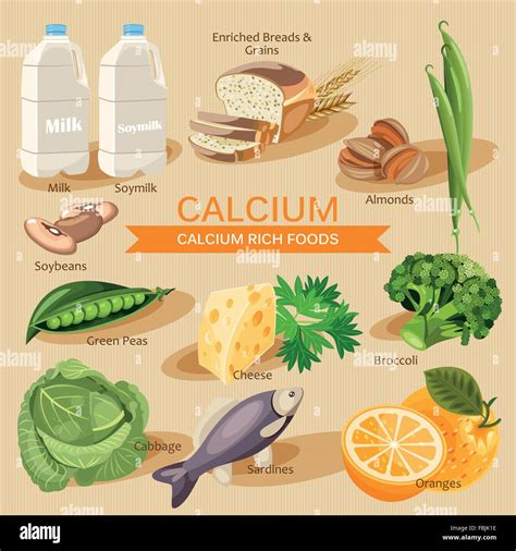 Vitamins And Minerals Foods Illustration Vector Set Of Calcium Rich