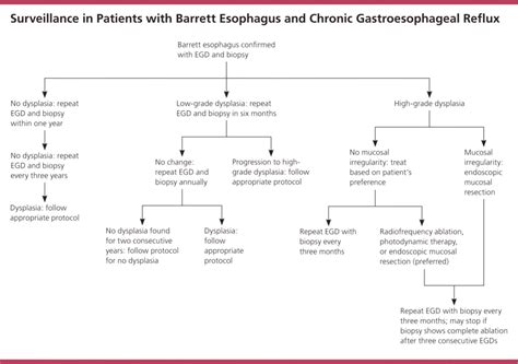 Diagnosis And Management Of Barrett S Esophagus Ask The Nurse Expert