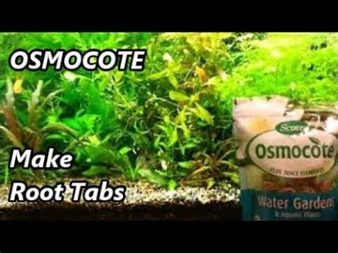 Check spelling or type a new query. How to NOT make DIY Root Tabs - Osmocote make them Already - YouTube