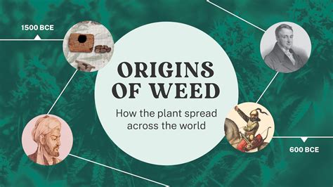The Origins Of Weed How The Plant Spread Across The World Mj