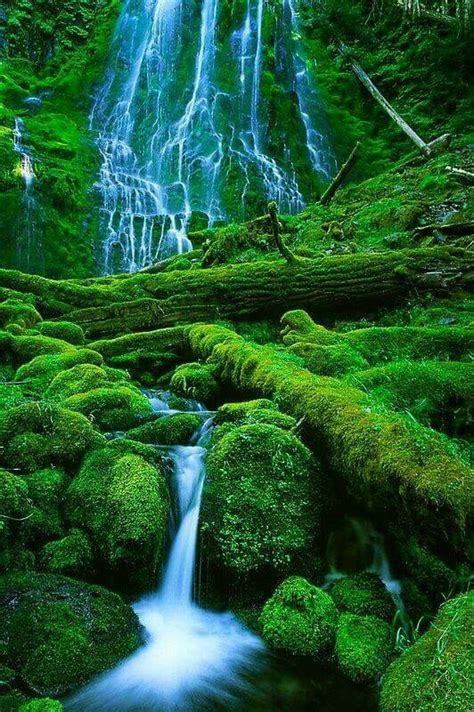 Proxy Falls Oregon Usa Hermosos Paisajes Hermosa Fotografía De