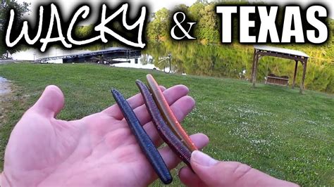 Bass Fishing With Wacky Rigs And Texas Rigs Plastic Worms Swimbait