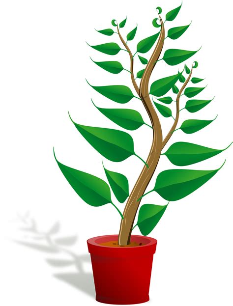 Free Plants Cliparts Download Free Plants Cliparts Png Images Free