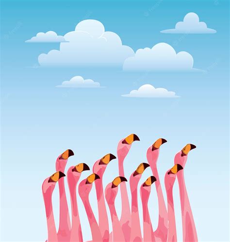 Cartão De Pássaro Flamingo Vetor Premium
