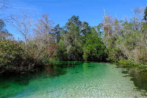 15 Best Things To Do In Spring Hill Fl You Shouldnt Miss Florida