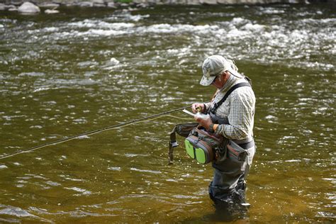 Fly Fishing For Bass Best Fly Rod For Bass