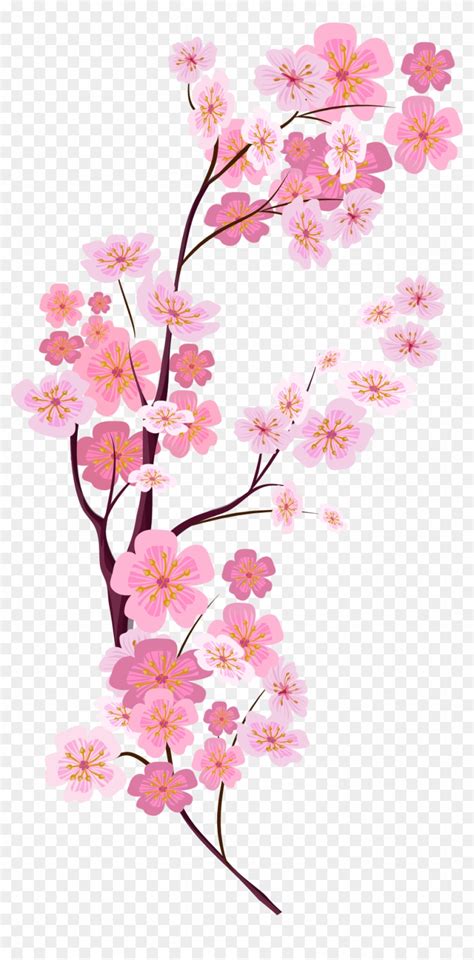 Cherry Blossom Euclidean Vector Cherry Blossom Vector Png Free