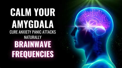 Calm Your Amygdala Cure Anxiety Panic Attacks Naturally Brainwave