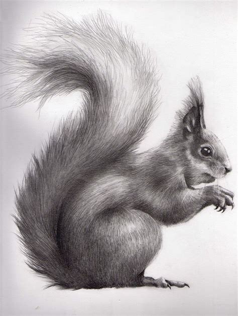 See more ideas about drawings, animal drawings, realistic drawings. 20 best Pencil Drawings of Animals images on Pinterest | Pencil drawings, Drawings and Drawings ...
