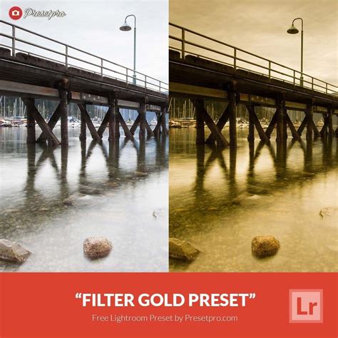 That speeds up the editing process, and it also gives a more consistent look to your photos. Free Lightroom Preset Filter Gold - Download Now!
