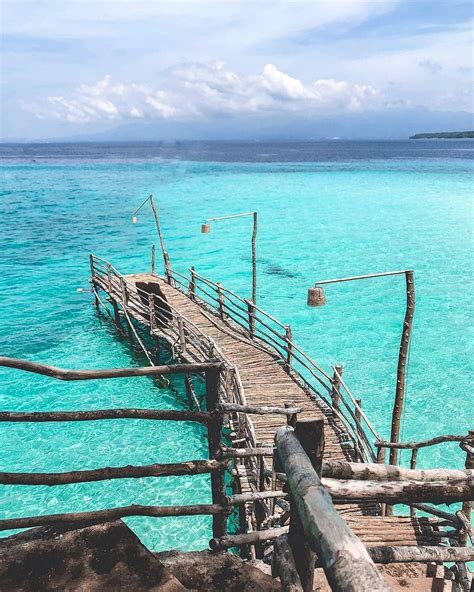 Is Oslob The Best Place To Visit In Cebu Oslob Cebu Travel Lover