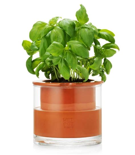 The 12 Best Self Watering Planters Of 2022